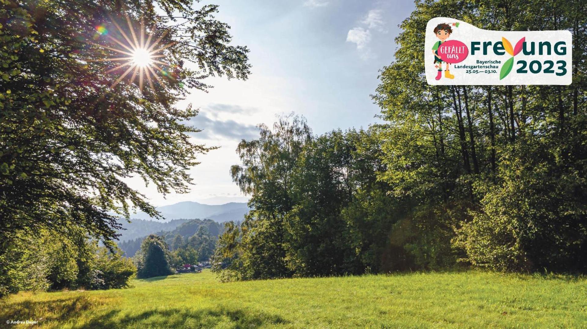 Ferienwohnungen Bayerischer Wald Mit Pool 프레이분크 외부 사진